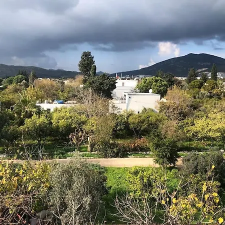 Apartment Nature View,fast Wifi *